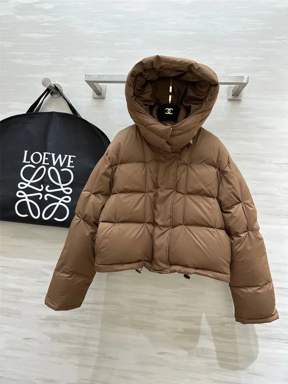 Loewe hooded down jacket